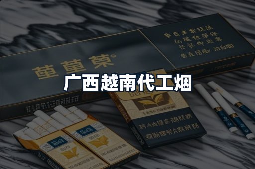 广西越南代工烟